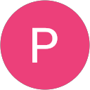 Prakash Bhatt profile picture